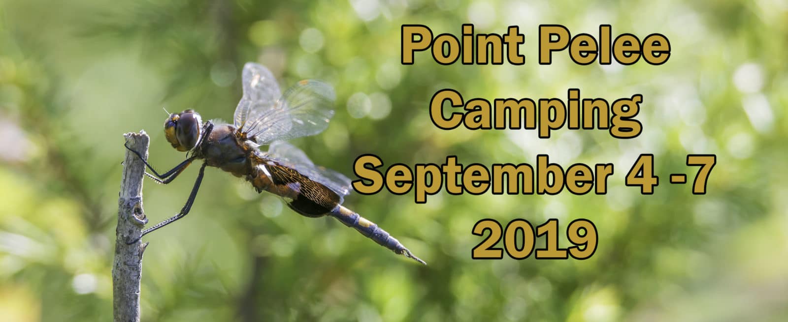 Point Pelee Camping September 4-7