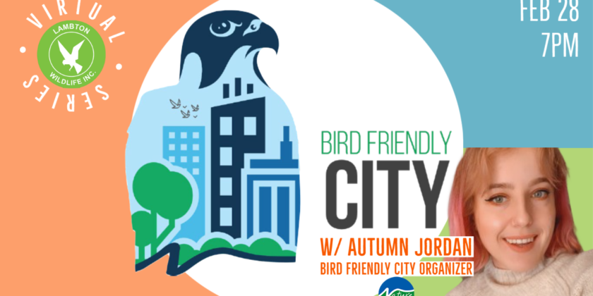 Nature Canada’s Bird Friendly City Program 